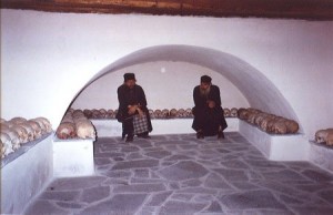 gropnita-schitului-lacu12