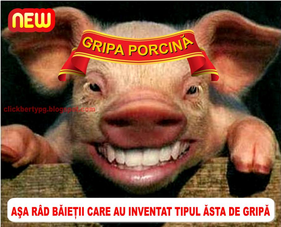 gripa_porcina.jpg