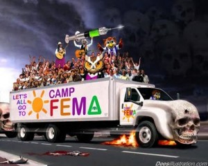 campfema_dees