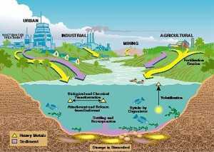 Contaminarea cu metale grele