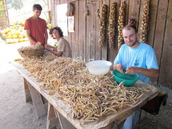 Sași reveniti in Romania pentru a face agricultura de subzistenta: <b><i>UNIUNEA EUROPEANA E DE-A DREPTUL MALEFICA! Nu noi am aderat la UE, ci UE ne-a cucerit </b></i>