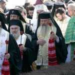 irineu-andrei-streza-daniel