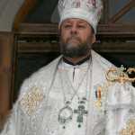 mitropolitul vladimir