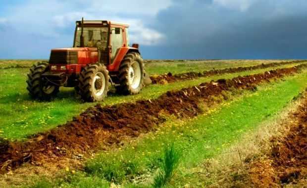 Romania, EL DORADO al AGRICULTORILOR… europeni