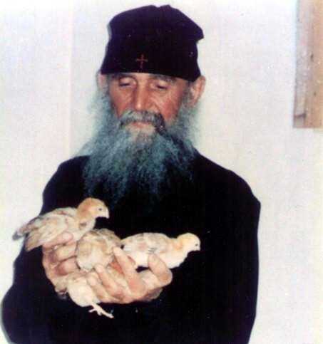 Efrem Filoteitul