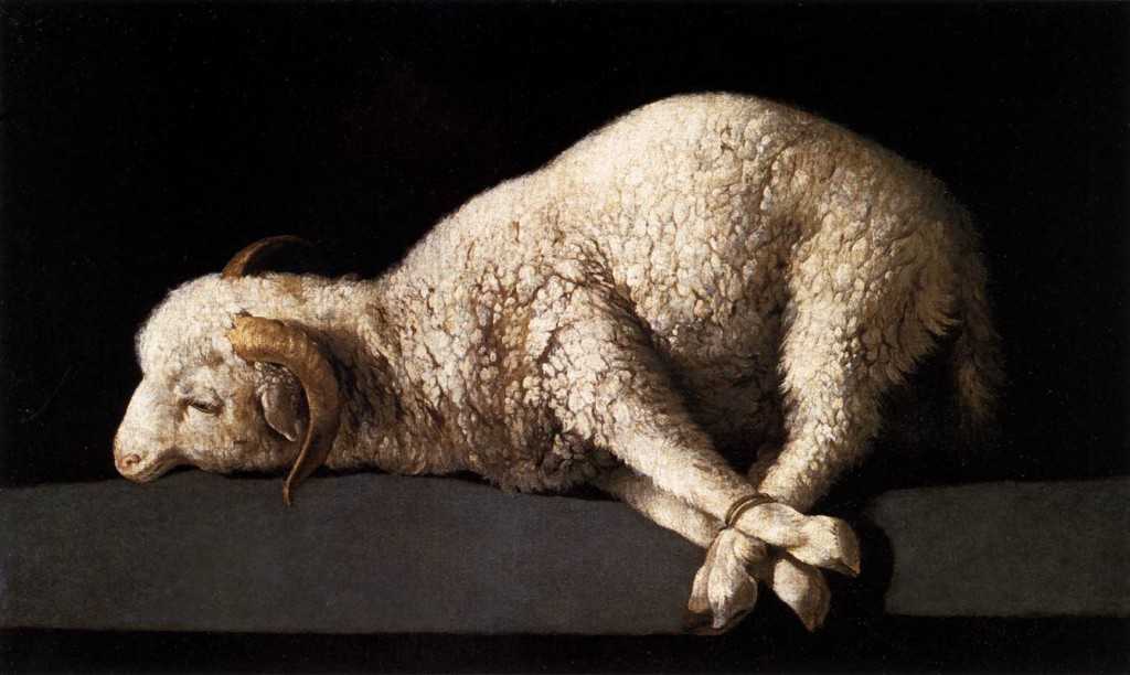 Passover-Lamb