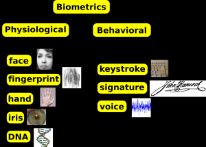 Memoriile laicatului despre documentele biometrice pe masa Sinodului BOR (Noutati 24-25 feb. 2009)