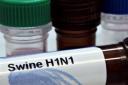 2847401147-chinese-firm-begins-swine-flu-vaccine-trial-state-media.jpg