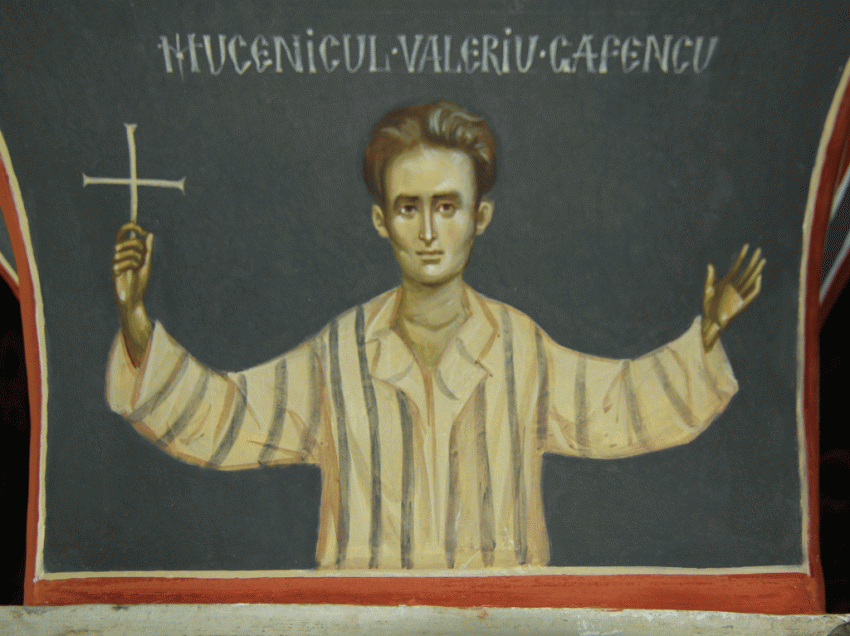 <i>“Daca n-ar fi fost cu noi Valeriu, care isi asumase rolul de calauza prin infern, cred ca ne-am fi topit de disperare…”- </i>SFANTUL INCHISORILOR in amintirile marelui profesor PAUL MIRON, fratele viitoarei sale logodnice din inchisoare. CUM A SALVAT DE LA MOARTE “ANTISEMITUL” VALERIU GAFENCU UN RABIN BATRAN SI CUM II COMPATIMEA PE EVREII PERSECUTATI DIN BUCOVINA