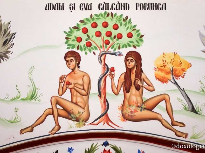 OMUL – ICOANA LUI DUMNEZEU: <i>“Aceasta este valoarea pe care El ti-o da tie!”</i>. De la Adam cel vechi la Noul Adam, Hristos sau DE LA RUSINEA GOLICIUNII LA RE-IMBRACAREA IN VESMANTUL DE HAR AL NEMURIRII