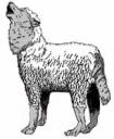 wolf-sheep.jpg